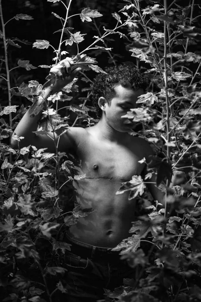 A naked curly haired man hiding behind the branches of a tree.