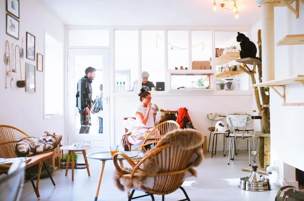 Interior shot of Kattencafé Kopjes in Amsterdam