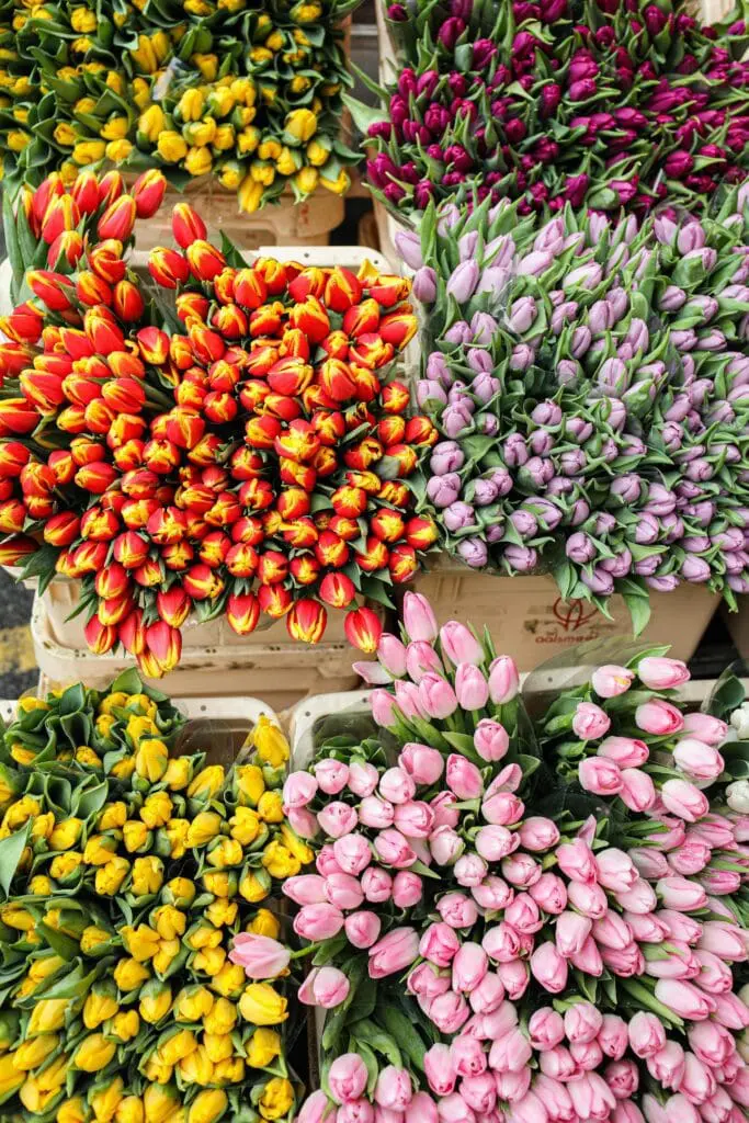 Bouquets of yellow, red, blue and pink flowers from Columbia Road Flower Market in Shoreditch in London