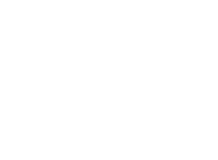 55-inch flat screen smart TV