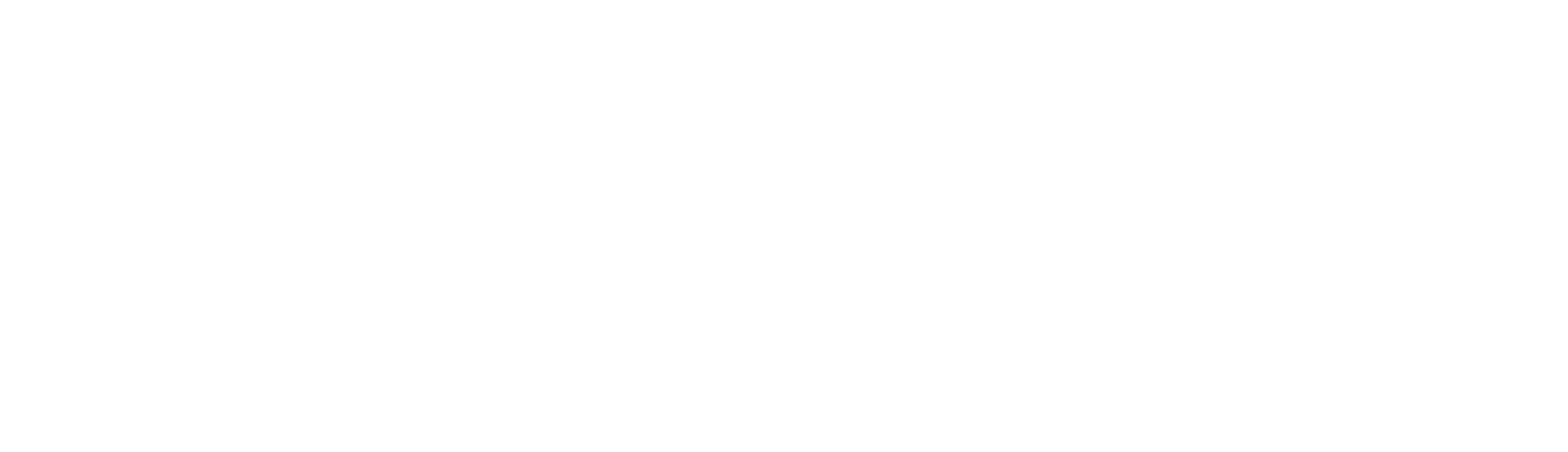 Holmes Hotel logo