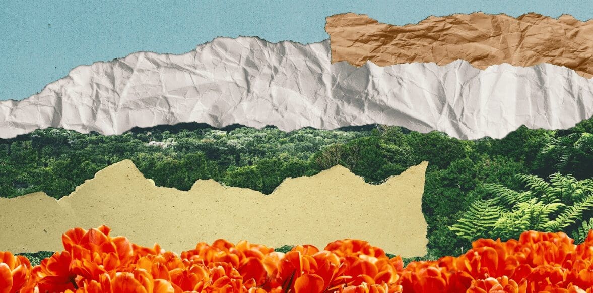 Surreal collage composition made from torn pieces of vintage photo. Tulips floral field, green forest and mountains. Dadaism contemporary art with sustainability concept.