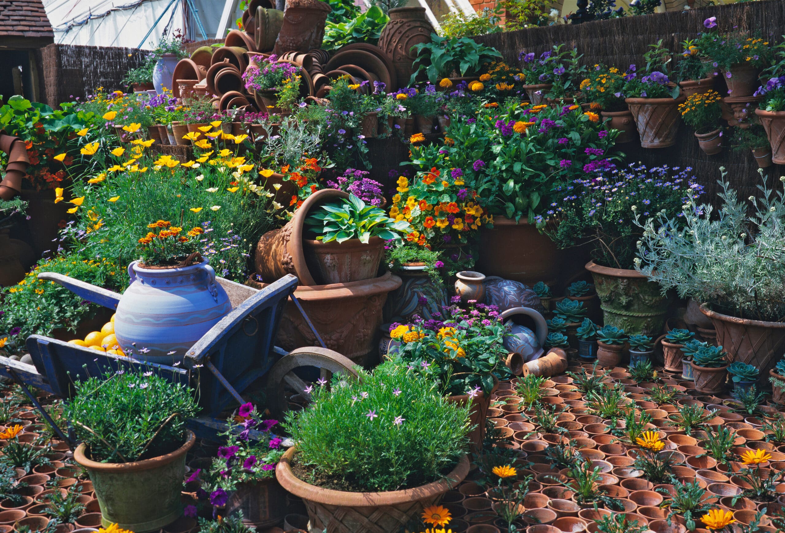 RHS Chelsea Flower Show Guide: What to see | art'otel